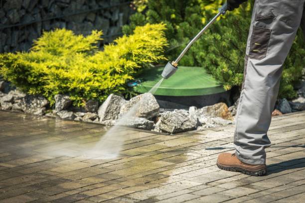 Best Pre-Holiday Cleaning  in Kyle, SD